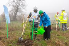 Series of tree-planting campaigns held in Dashkasan district (PHOTO)