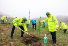 Series of tree-planting campaigns held in Dashkasan district (PHOTO)