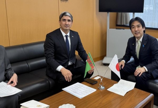 Turkmenistan, Japan discuss economic cooperation and joint projects