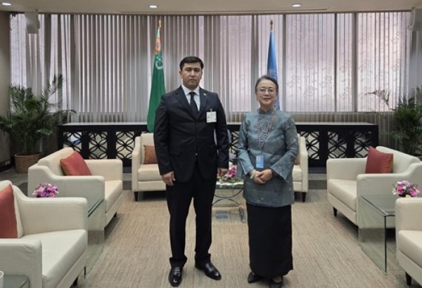 Turkmenistan and UN ESCAP discuss co-op on sustainable dev't and climate initiatives