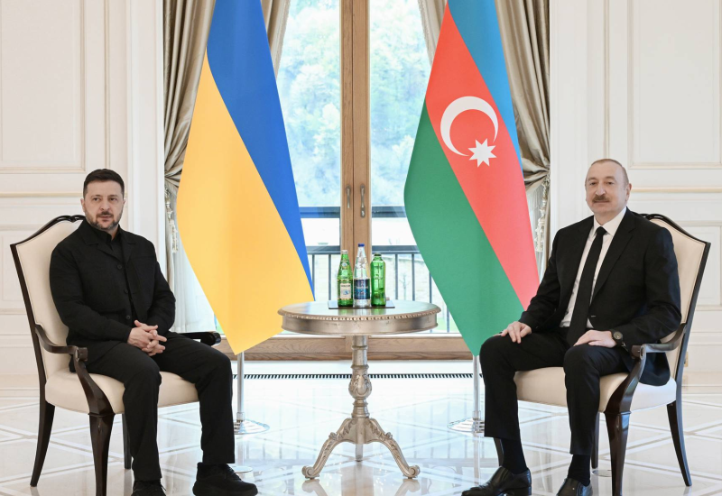 Baku and Kyiv may establish cooperation in anti-drone production, exchange expertise