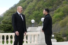 President Ilham Aliyev, President of Ukraine deliver press statements (PHOTO)