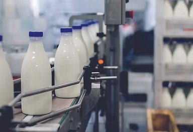 Turkmenistan’s Lebap region increases milk and meat production in 1Q2026