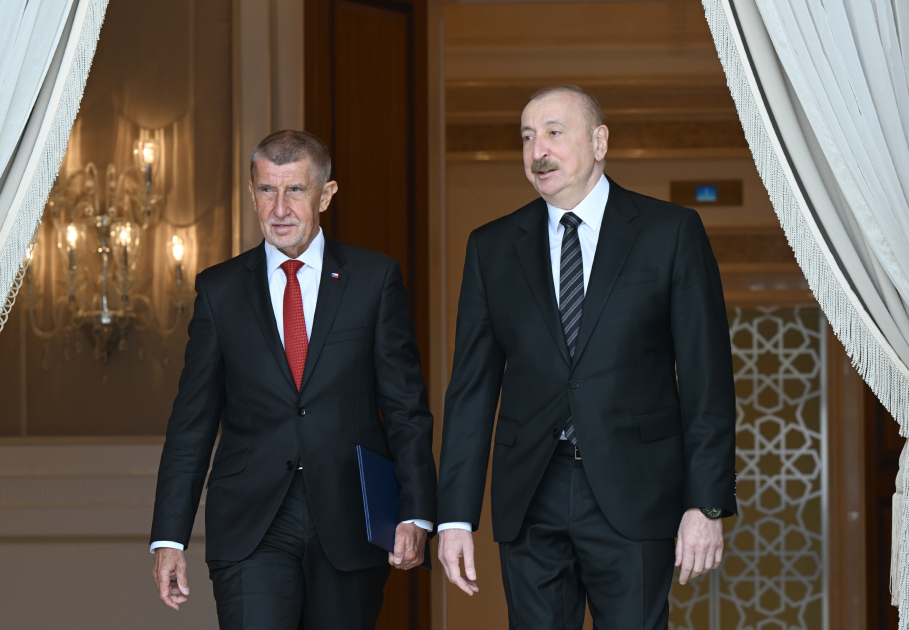 President Ilham Aliyev, Czech Prime Minister make press statements (PHOTO)