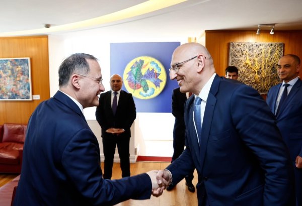 Azerbaijani Presidential Rep discusses co-op with Italian Deputy FM