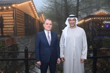 Azerbaijan, UAE discuss expanding energy cooperation (PHOTO)