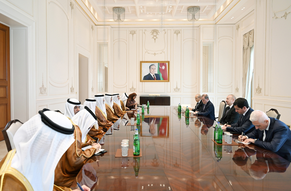 President Ilham Aliyev receives delegation from United Arab Emirates (PHOTO/VIDEO)