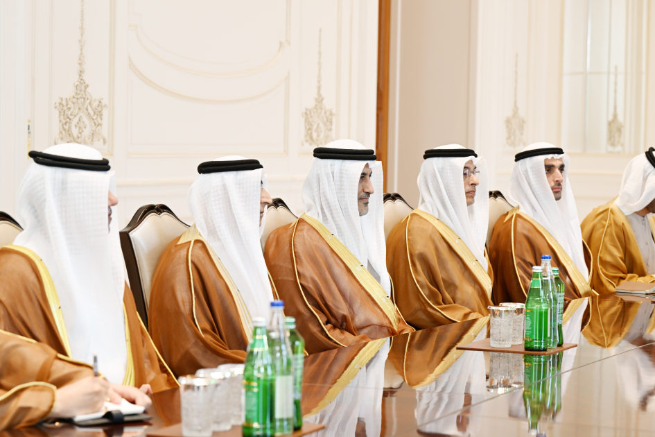 President Ilham Aliyev receives delegation from United Arab Emirates (PHOTO/VIDEO)