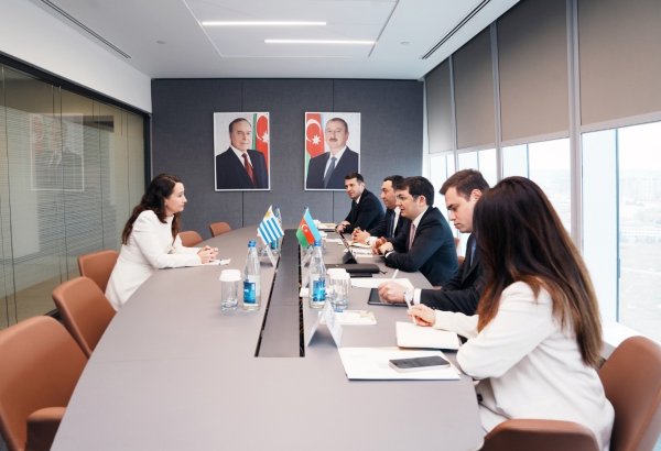 Azerbaijan discusses development of economic cooperation with Uruguay (PHOTO)