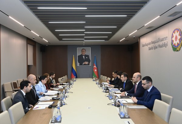Azerbaijan, Colombia enhancing political dialogue (PHOTO)