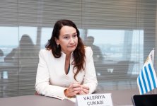 Azerbaijan discusses development of economic cooperation with Uruguay (PHOTO)