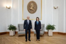 Azerbaijan, ECO discuss Clean Energy Center dev't, new cooperation projects (PHOTO)