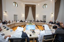 Azerbaijan and UAE discuss development of energy cooperation (PHOTO)