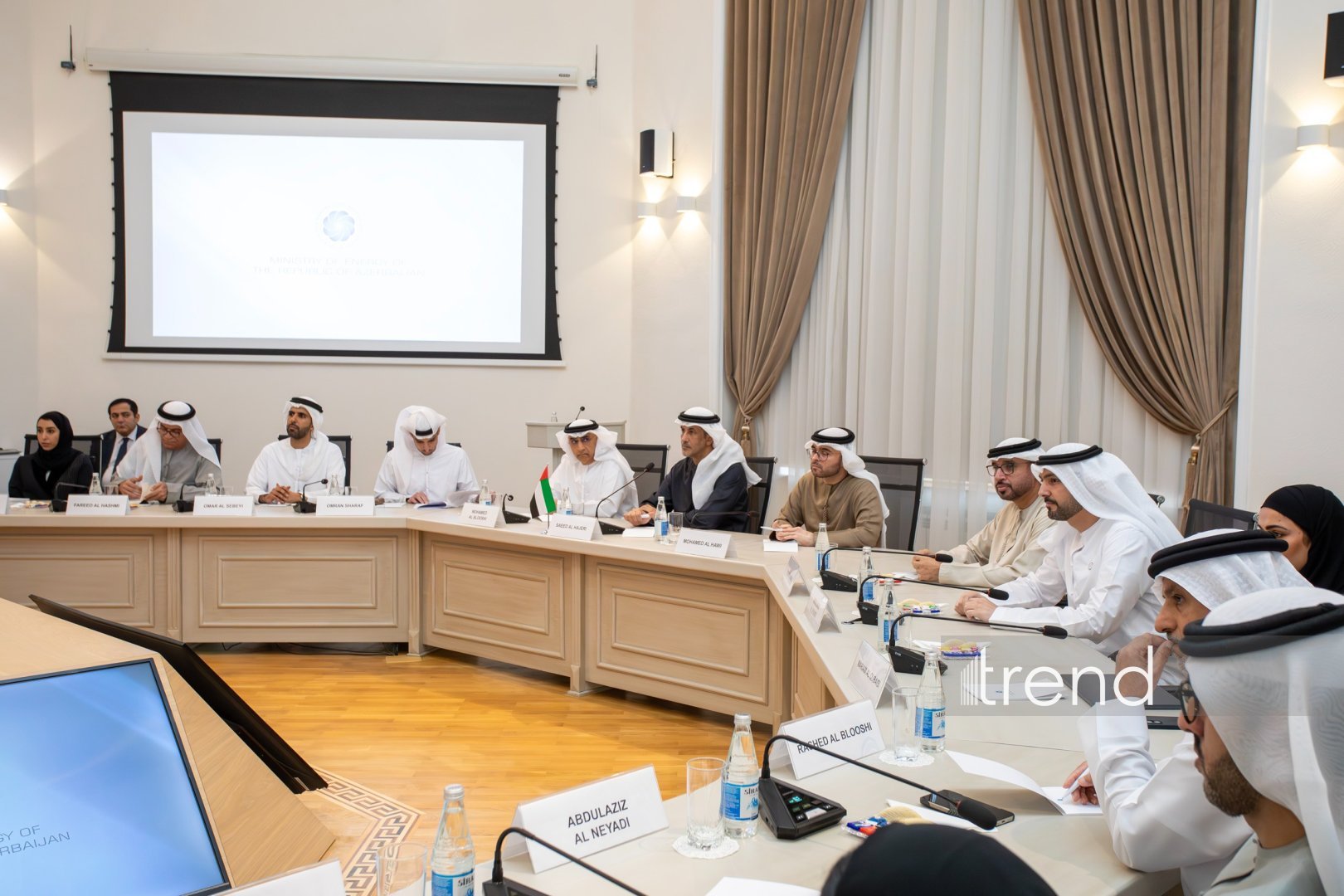 Azerbaijan and UAE discuss development of energy cooperation (PHOTO)