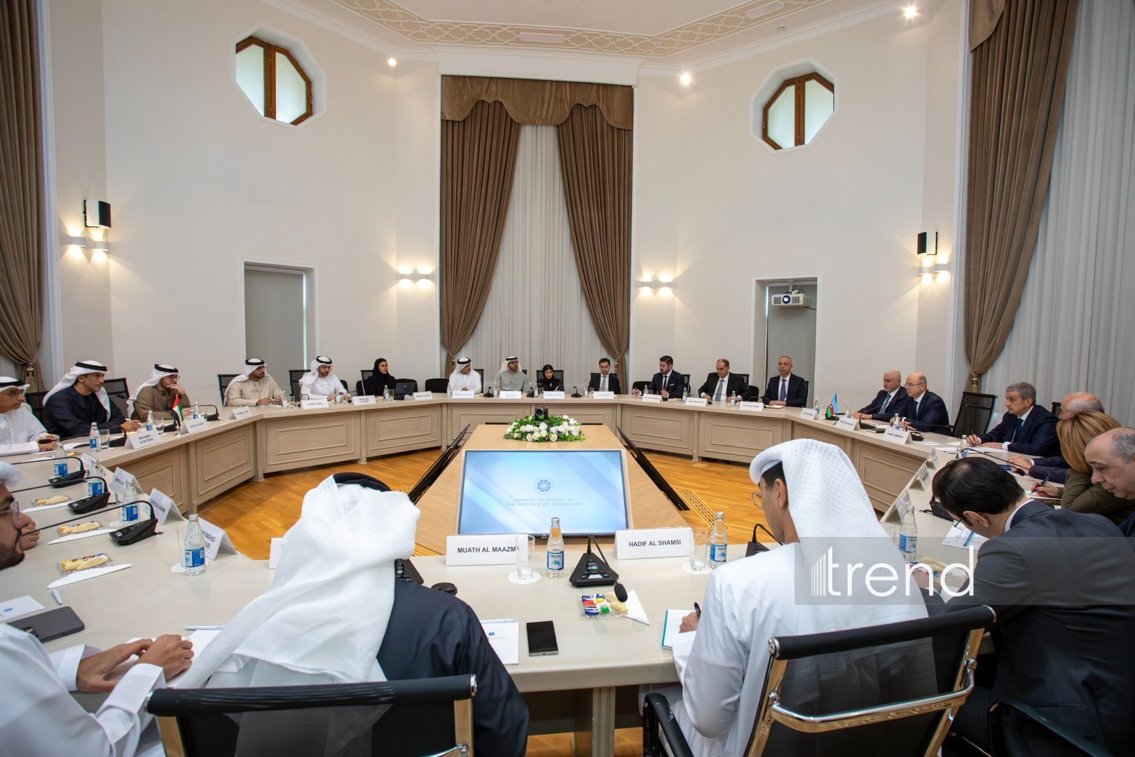 Azerbaijan and UAE discuss development of energy cooperation (PHOTO)