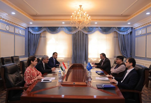 Tajikistan, UNDP discuss ongoing cooperation and development projects