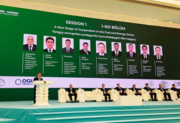Turkmenistan sees China as key partner in green energy projects