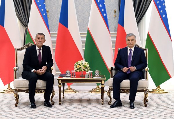 Uzbekistan discloses extent of joint ventures with Czech investment
