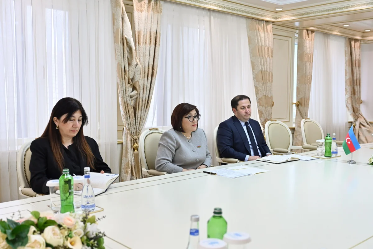 Speaker of Azerbaijani Parliament meets with Greek ambassador (PHOTO)