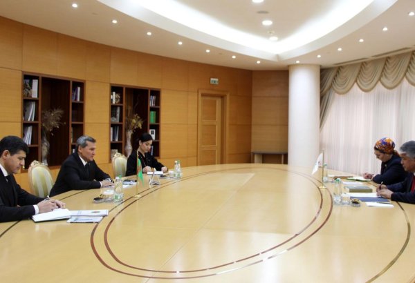 Turkmenistan, TURKSOY discuss expanding humanitarian cooperation