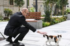 President Ilham Aliyev, First Lady Mehriban Aliyeva attend inauguration of Islam Safarli Street following reconstruction (PHOTO)