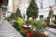 President Ilham Aliyev, First Lady Mehriban Aliyeva attend inauguration of Islam Safarli Street following reconstruction (PHOTO)