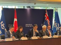 Azerbaijan offers support for SIDS cultural heritage inclusion in UNESCO (PHOTO)