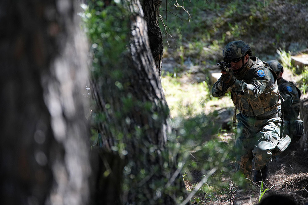 “EFES-2026” exercise progresses successfully in preparatory phase (PHOTO/VIDEO)