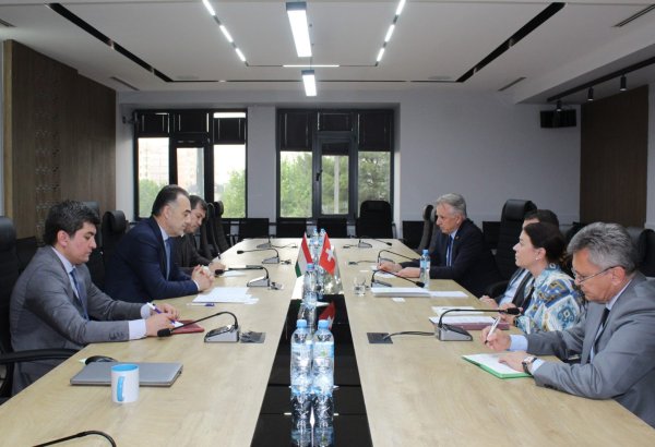 Tajikistan, Switzerland discuss cooperation in energy and water sectors