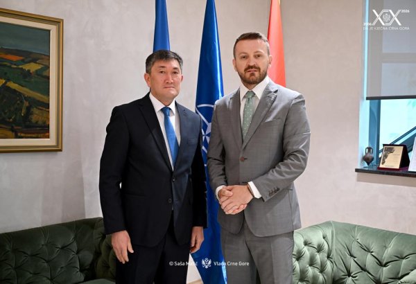 Kazakhstan and Montenegro discuss cooperation in digitalization and public administration