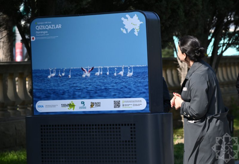 Baku hosts exhibition titled “In the footsteps of Azerbaijan’s nature” (PHOTO)
