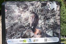 Baku hosts exhibition titled “In the footsteps of Azerbaijan’s nature” (PHOTO)