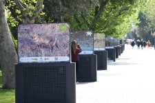 Baku hosts exhibition titled “In the footsteps of Azerbaijan’s nature” (PHOTO)