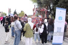 International Carpet Festival held in Baku (PHOTO)