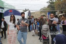 International Carpet Festival held in Baku (PHOTO)