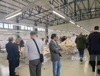 Diplomatic corps representatives visit "Zerti" Agro-Industrial Park in Lachin (PHOTO)