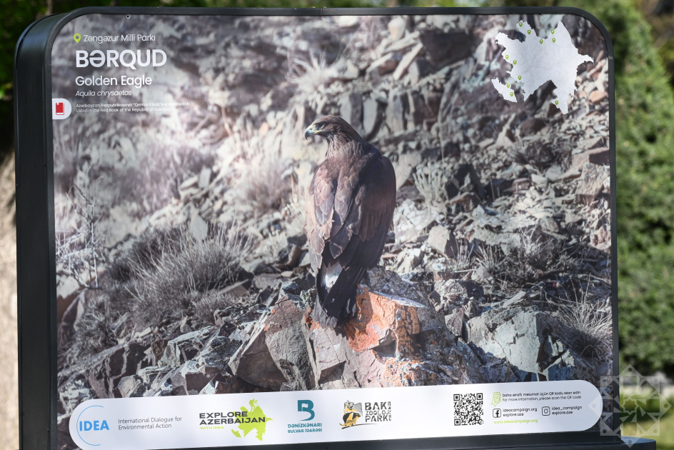 Baku hosts exhibition titled “In the footsteps of Azerbaijan’s nature” (PHOTO)