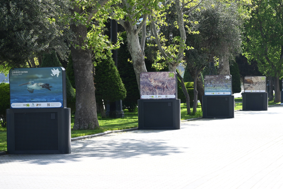 Baku hosts exhibition titled “In the footsteps of Azerbaijan’s nature” (PHOTO)