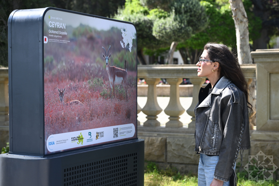 Baku hosts exhibition titled “In the footsteps of Azerbaijan’s nature” (PHOTO)