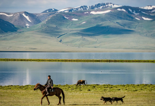Uzbekistan proposes 'Central Asia Tourism Ring' to boost regional tourism