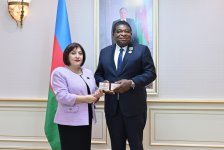 Speaker of Azerbaijani Parliament meets IPU Secretary General (PHOTO)