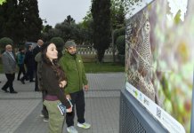 Leyla Aliyeva attends opening of exhibition titled “In the footsteps of Azerbaijan’s nature” (PHOTO)