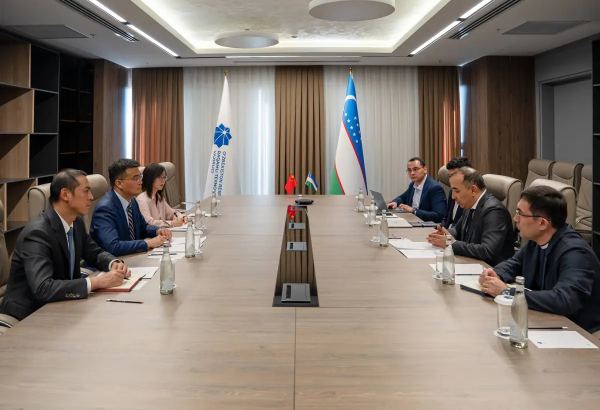 Uzbekistan, China discuss cooperation in space technologies