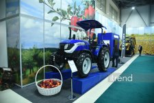 19th Azerbaijan International Agricultural Exhibition continues in Baku (PHOTO)