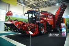 19th Azerbaijan International Agricultural Exhibition continues in Baku (PHOTO)