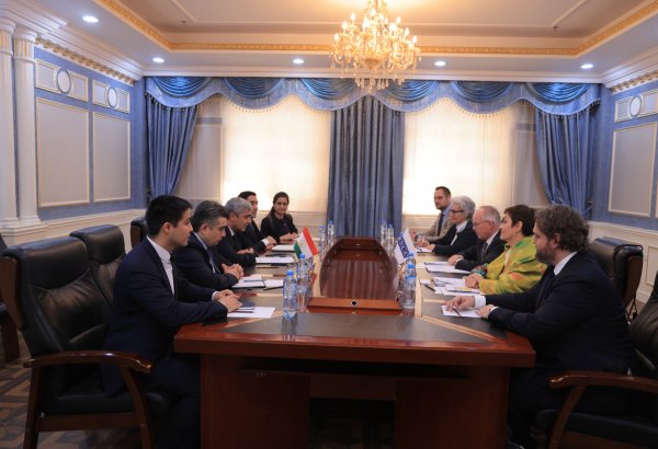 Tajikistan and OSCE discuss media and information security cooperation