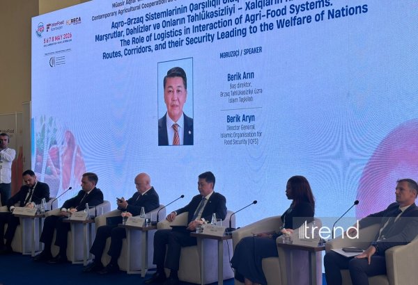 Logistics corridors critical to global food security, IFS says