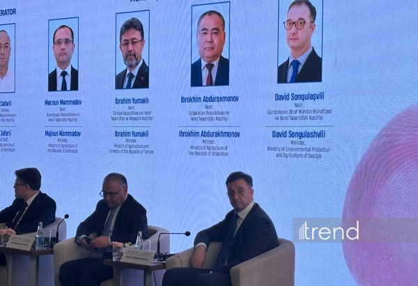 Georgia highlights importance of Middle Corridor for regional food security