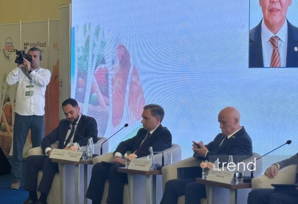 Azerbaijan's Baku Port set for major expansion - official