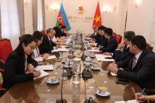 Azerbaijan, Vietnam discuss expansion of diaspora cooperation (PHOTO)